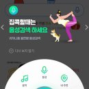 그린닷