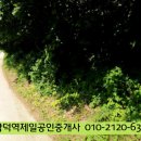 충남 당진 시곡동 당진시내 인근에 위치한 2,190평 임야 매매 / 4억8,000만원 이미지