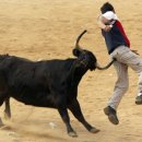 굴다리보신탕 이미지