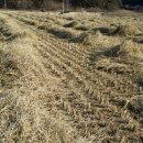 지푸라기농장 이미지