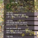 시창작&시낭송 이미지