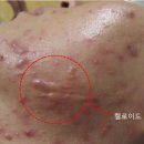 은영코스메틱 - 군산시 경암2길 20-1 | 은영코스메틱