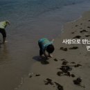 (주)하준 | 오히려 나를 키웠습니다 — 울산 위탁모 김정선의 하준이·다정이, 4살 아이가 50대 엄마를 바꾼 이야기...