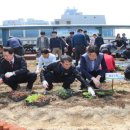 분당구청 구내식당 네이버블로그
