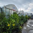 도연농원 이미지