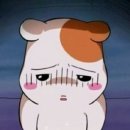 숭례문중화요리 이미지