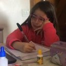 전이랑국시랑 이미지