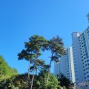 구름공인중개사사무소 이미지