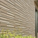 루미노스 이미지