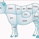 리미티드샵 이미지