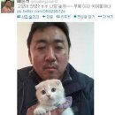 나만없어고양이 이미지