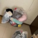 광성세탁 | 🛑절대 버리지 마세요! 이 옷들로 돈 번 후기 (영수증 인증 有)[실제사진 공개] 인천·부천·김포 수거현장