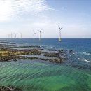 탐라태양광발전소 이미지