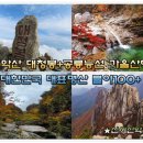 9/18[금무]설악산(블야100)+대청봉+공룡능선-산행안내/좌석표 이미지