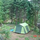 나리농장 이미지