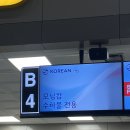 대한의백 | 김해공항 대한항공 게이트백 후기(모닝캄 수하물 우선처리/아메리칸투어리스터 큐리오 25인치)