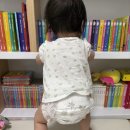 일호밴딩