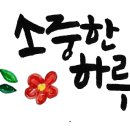 배가부동산중개 이미지