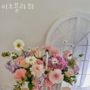 이소플라워 이미지