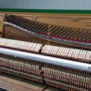 하이 음악학원 이미지