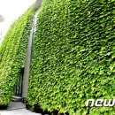 상계3.4동주민센터 이미지