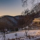 힐리언스 이미지