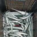 백경민박 이미지