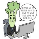 제주영지학교 | 여행(?) 2박3일] 연차 소진 없이 제주도 다녀온 미친 직장인/파타고니아 제주 트레일런 대회/바솔트 드랍인