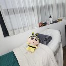 뷰티라운지케이 네일속눈썹피부 청라가정점 | 청라 속눈썹펌, 눈 찌르던 불편함 끝? 6주 유지 C컬 리얼 후기