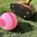 파크골프(중급) 이미지