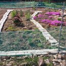 내곡동451 이미지