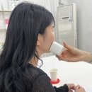 연소프트 | 강남 신사역 퍼스널컬러 진단 잘하는 곳 &lt;컬러연&gt;에서 겨울 쿨톤 비비드 확정 받은 후기