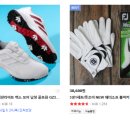 메이저골프클럽 이미지