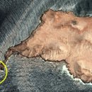 러 ‘그림자 선박’ 좌초 후 원유 ‘줄줄줄’…오만 해양보호구역 390㎢ 오염 이미지