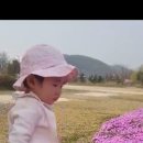 화중지화(畫中之花 ) 이미지