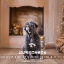 Dr.J동물병원 이미지