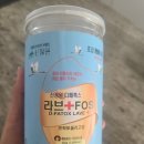 조강 | 라브 조강식품 후기)내돈내산 장건강 지키기