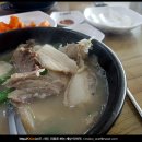 순대박사 이미지