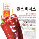 신비너스 이미지