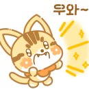 빌리브동물병원 이미지