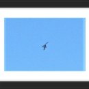 하나 둘 셋 넷 이미지