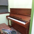 사랑학원 이미지