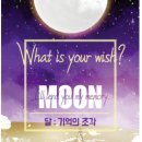 비밀의화원전주점 이미지
