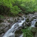 백운산등산로6코스 투어코리아