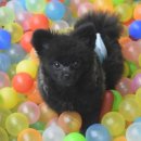 태우하우스 이미지