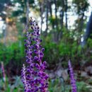 당두공원 이미지