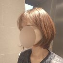 벨리티 이미지