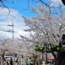 반쟁이공원 이미지