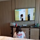 제주서귀포물항식당