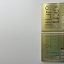 우네일 네이버블로그